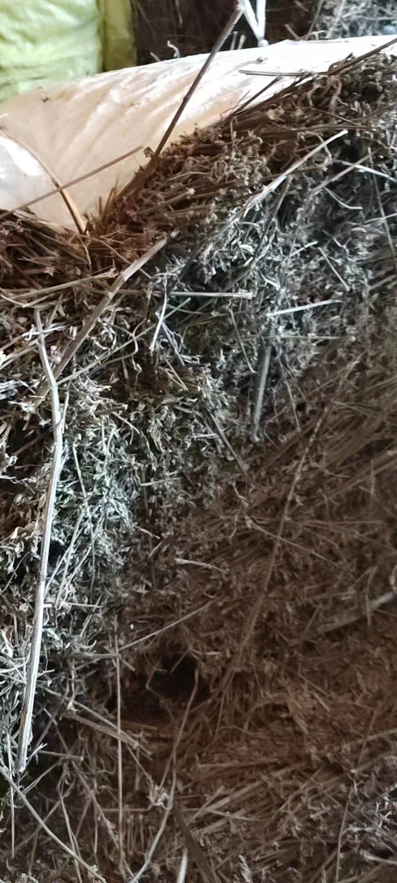 艾草中药草熏艾2年陈纯艾草2年陈艾杆艾草