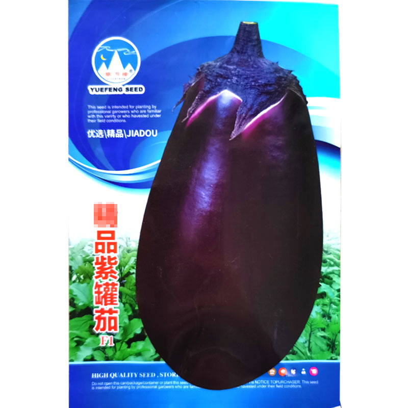 紫罐茄子种子紫茄子光亮大茄子种籽油亮果肉多果实大基地