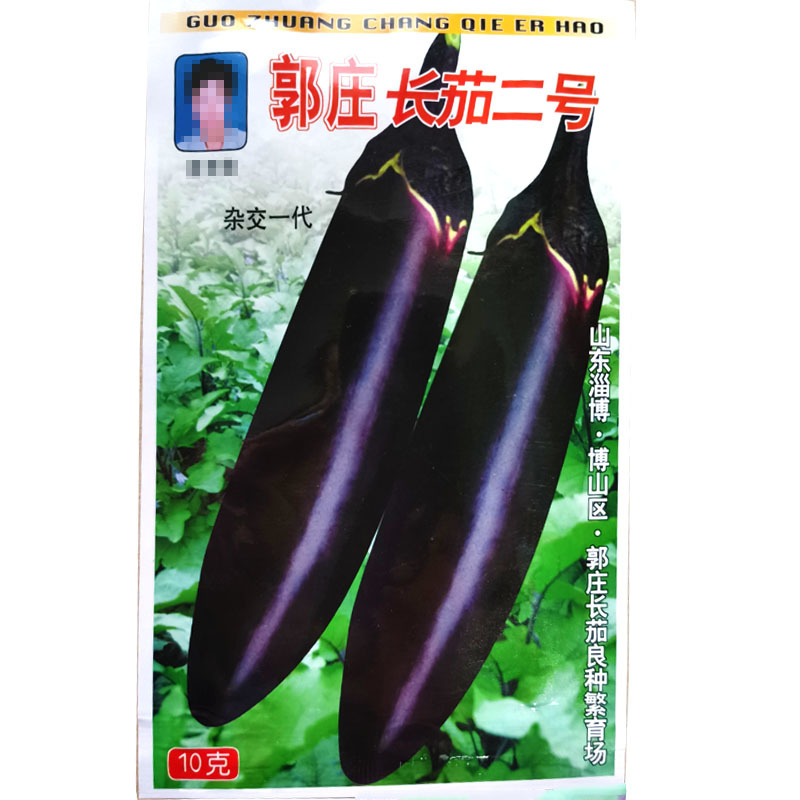 郭庄长茄二号种子杂交早熟黑紫发亮采摘期长耐高温
