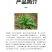 利尔闲飞20%草铵膦草胺磷非耕地果园牛筋草杂草专用除草剂
