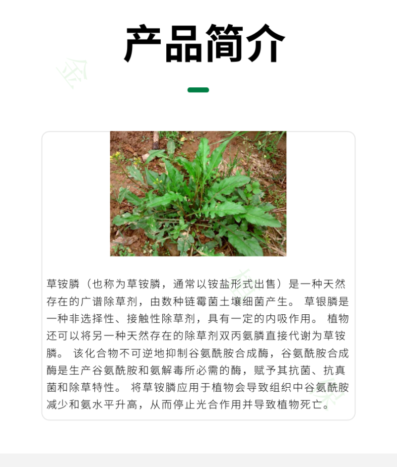 利尔闲飞20%草铵膦草胺磷非耕地果园牛筋草杂草专用除草剂