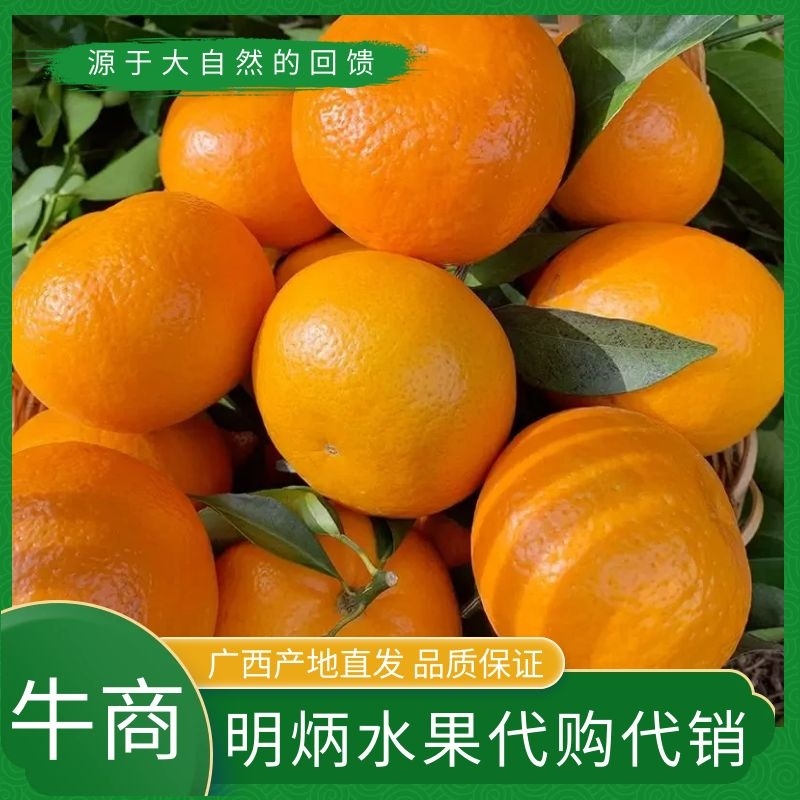 广西沃泔之乡大量供应全国代发对接各大平台市场