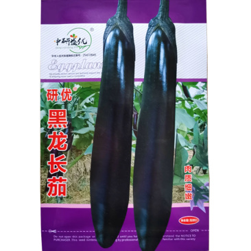 黑龙长茄种子早熟耐热抗病大田种植皮薄肉嫩春秋夏