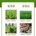 快递包邮国光磷酸二氢钾磷钾肥叶面肥花肥膨果增甜上色农用