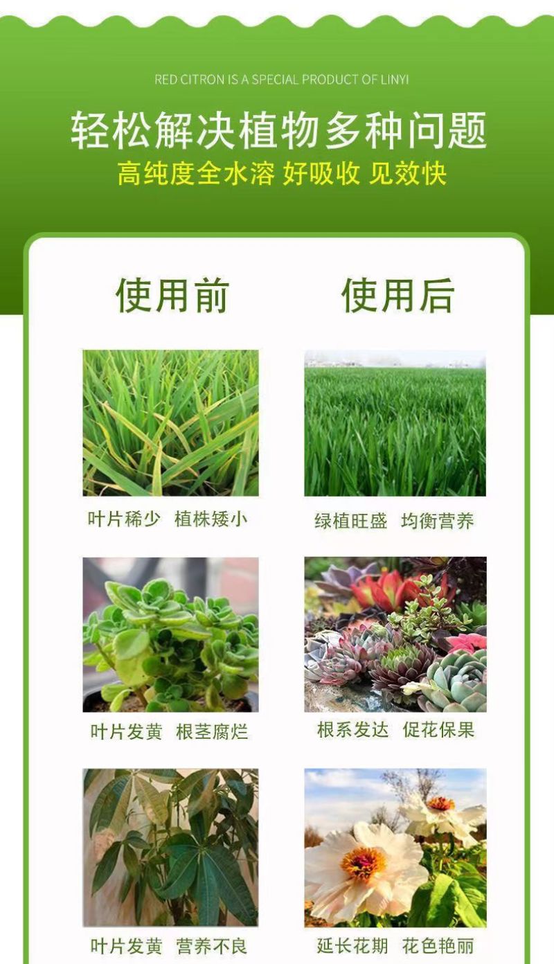 快递包邮国光磷酸二氢钾磷钾肥叶面肥花肥膨果增甜上色农用