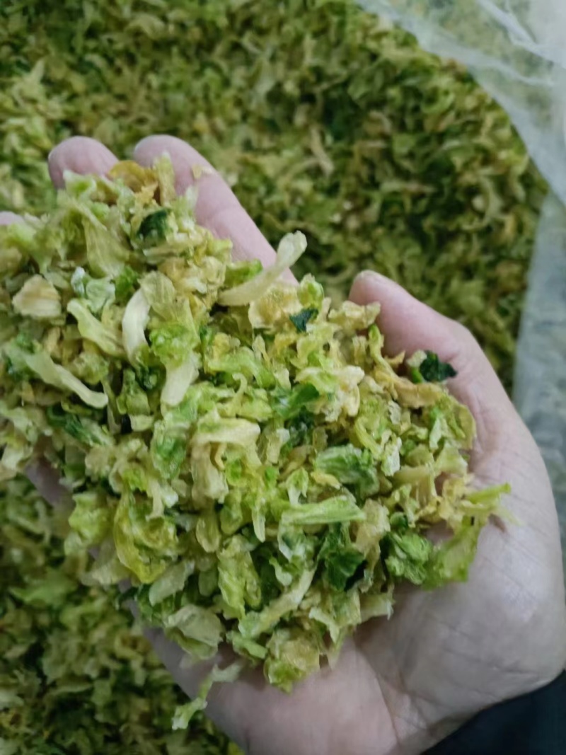 精品烘干包菜又名高丽菜品质保证诚信经营一手货源欢迎采购