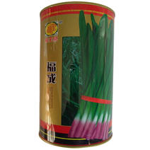 福成独根红韭菜种子紫根韭菜种子300g耐热耐寒味特浓高产