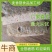 【量大从优】面筋块全筋面筋，可串串香/饭店/商超电联