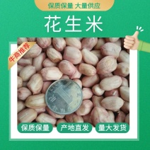 山东花生米批发白沙花生米批发山东花生米产地直销