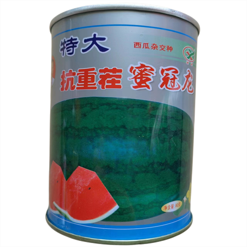 特大抗重茬蜜冠龙西瓜种子80g大果椭圆形大红瓤西瓜籽种子