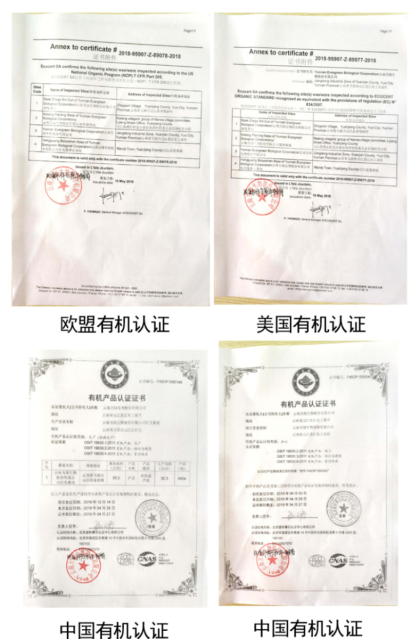 【包邮】大年份老苗/芦荟鲜叶/芦荟批发/美容/食用