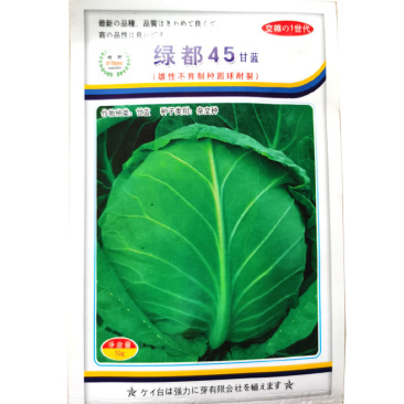 甘蓝种子早熟耐热抗病大田包菜圆白菜口感甜脆基地选