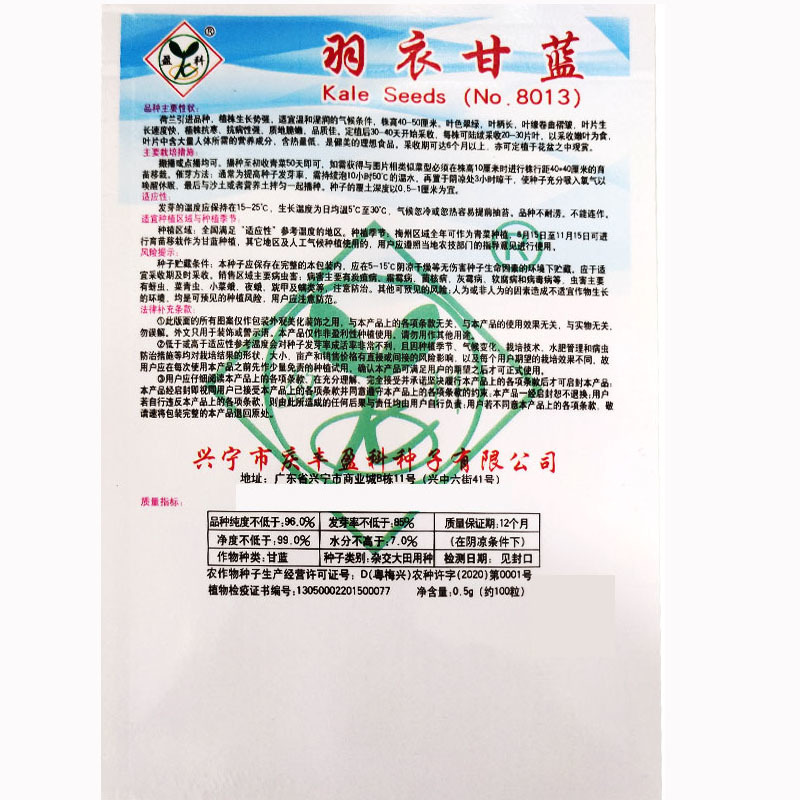 羽衣甘蓝种子食用绿叶皱叶甘蓝粉早熟春秋种植易种