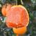 中华红血橙果园直供规格齐全产地货源全国发货欢迎实地考察