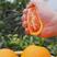 【中华红橙】果园直供规格齐全质量保证货源优欢迎咨询