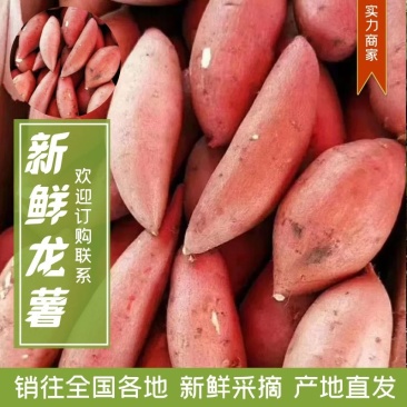 【产地直供】精品龙薯，大量有货，品质保证量大从优