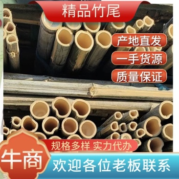 毛竹梢竹尾果撑竹竿粗竹竿树木支撑竿，渔网插网竹