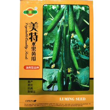 水果黄瓜种子油亮型全雌性短棒形果肉脆甜节瓜蜜