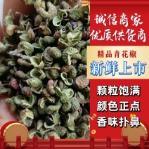 批发陕西韩城新货青颗臭椒颗粒打粉麻味浓香味够不是青麻花椒