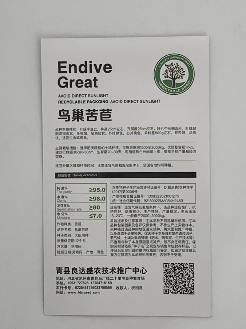 鸟巢苦菊种子病虫害少丰产性好产量稳定