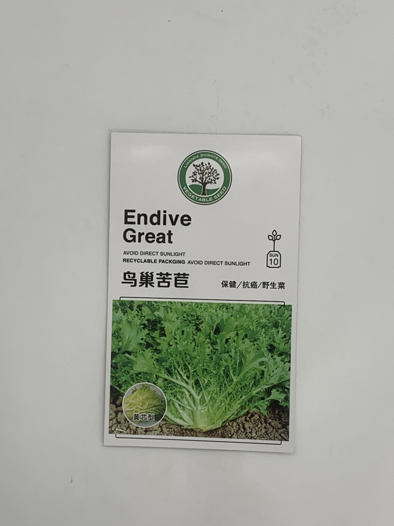 鸟巢苦菊种子病虫害少丰产性好产量稳定