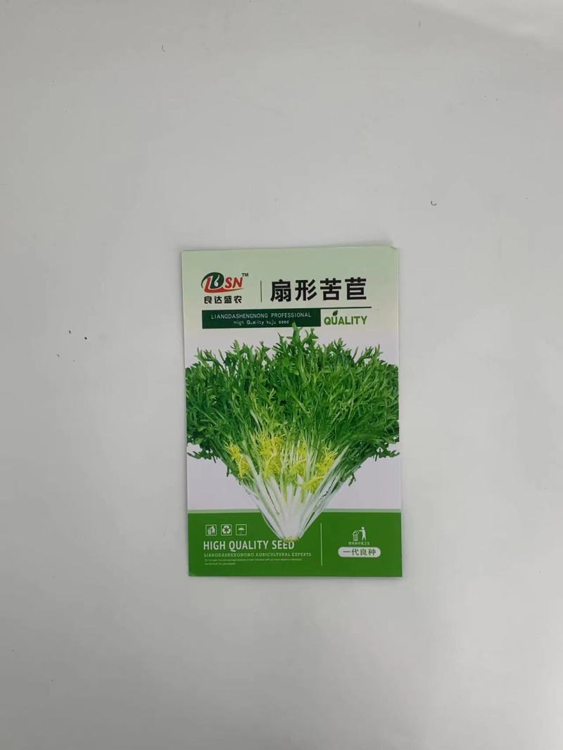 扇形苦菊种子口感微苦抗病抗寒性强可大面积种植