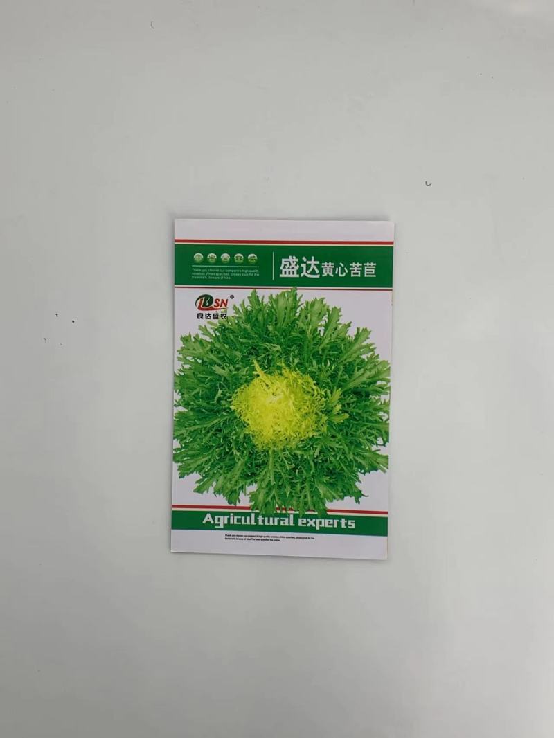 盛达黄心苦菊种子芯呈现黄色略苦抗病耐储存