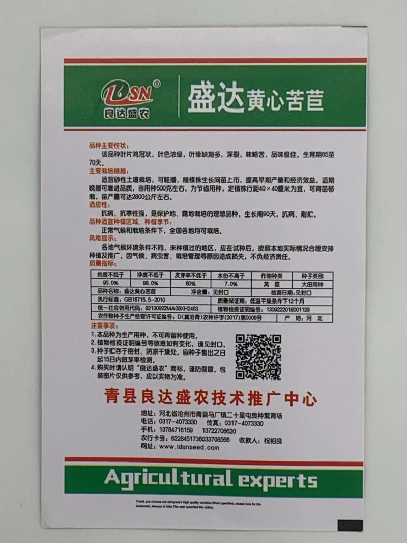 盛达黄心苦菊种子芯呈现黄色略苦抗病耐储存