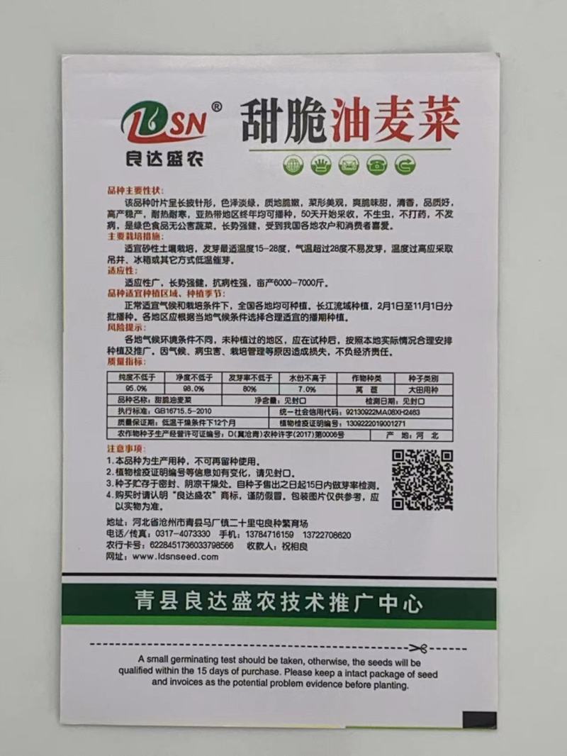 甜脆油麦菜种子质地脆嫩菜型美观清香品质好高产稳定