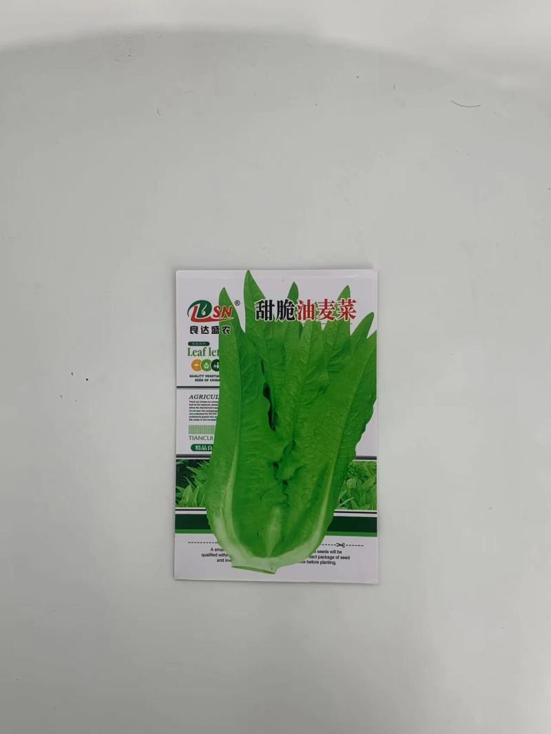 甜脆油麦菜种子质地脆嫩菜型美观清香品质好高产稳定