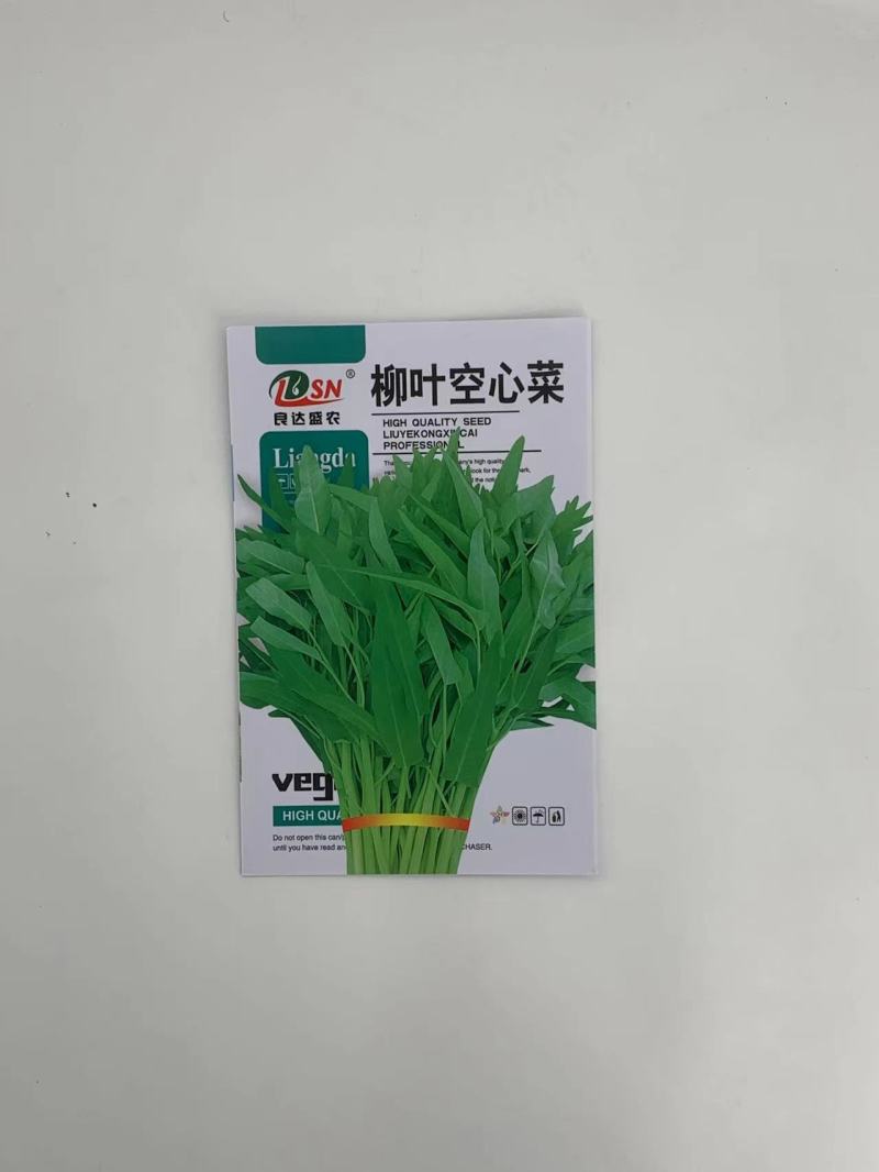 柳叶空心菜种子耐寒耐热耐湿长势快纤维少