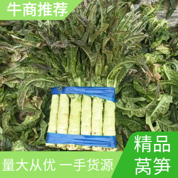 【推荐】莴苣，红叶莴笋，大棚种植全国发货，对接商超市场