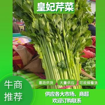 皇后芹菜，河北邯郸芹菜，大量供应精品，质量三包