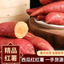 精品红薯，西瓜红红薯，一手货源全国发货，量大从优