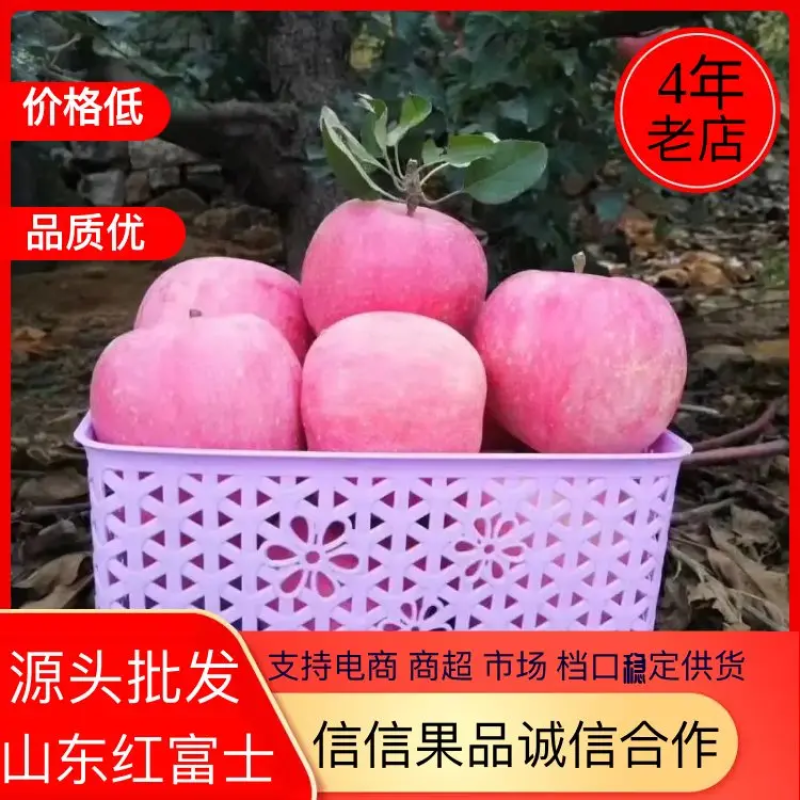 山东红富士苹果🍎大量上市，口感脆甜，品质保障，欢迎采购~