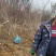 猥实大墩猥实带盆猥实基地直销价格优惠代办运输