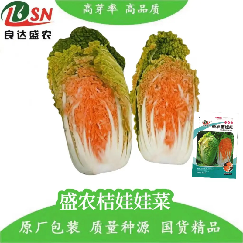 盛农桔娃娃菜种子营养丰富耐热耐寒耐湿耐贮运适应性广