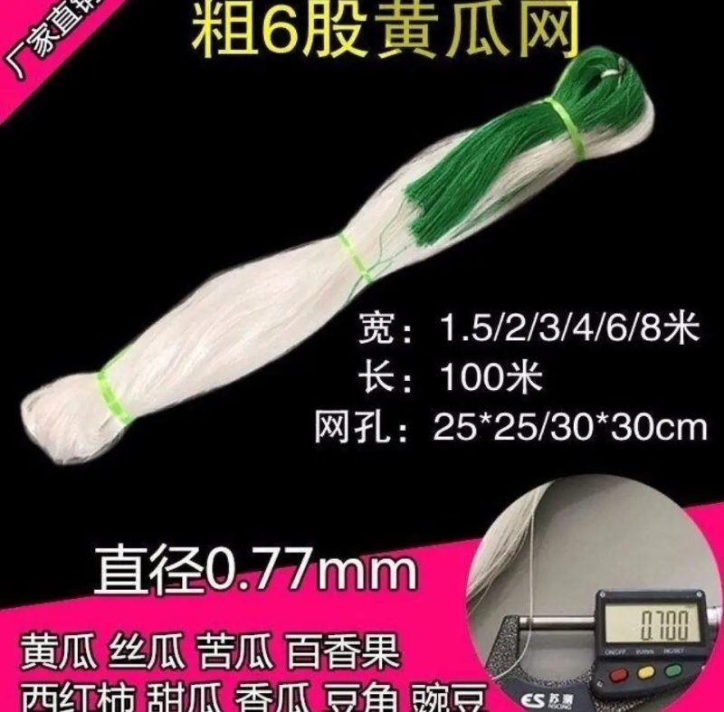 爬藤网植物爬藤网黄瓜网豆角网厂家直供质量保障