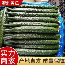 河南夏邑秦楼万亩大棚密刺黄瓜，国林实力商家代收代发全国