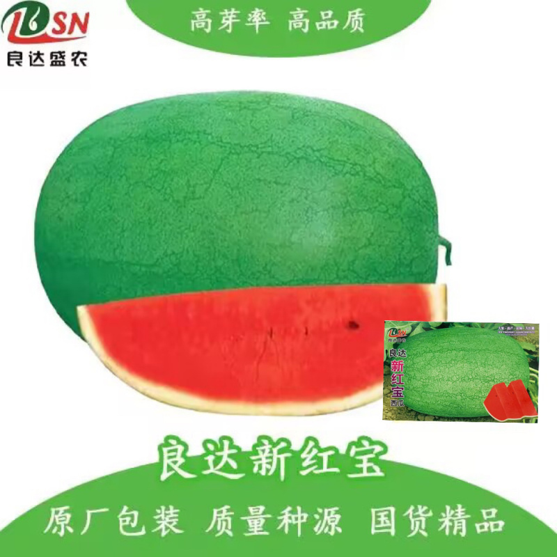 良达新红宝西瓜种子大果高产抗病大红瓤质脆味佳皮薄耐贮运