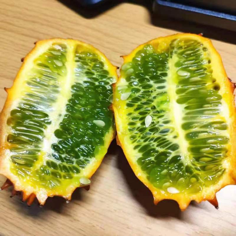 非洲灭霸火参果种子雌雄异花同株果实特殊一年生草本攀援植物
