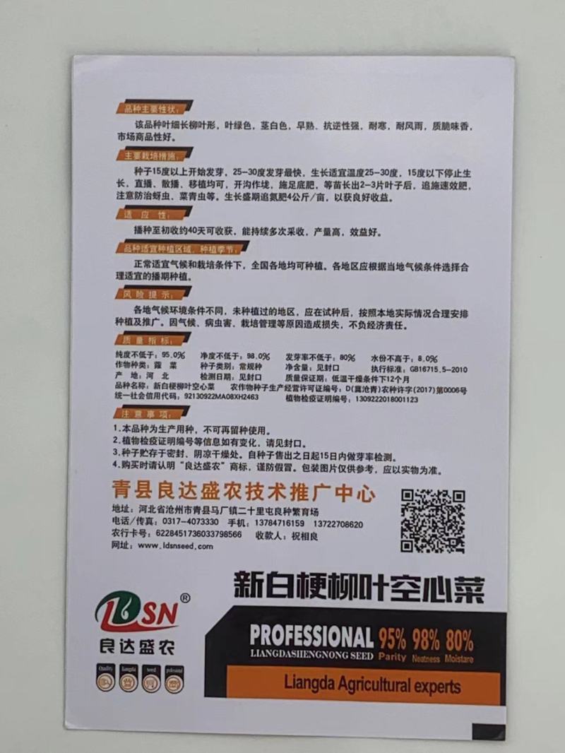 新白梗柳叶空心菜种子耐寒耐风雨可以多次采收产量高效益好