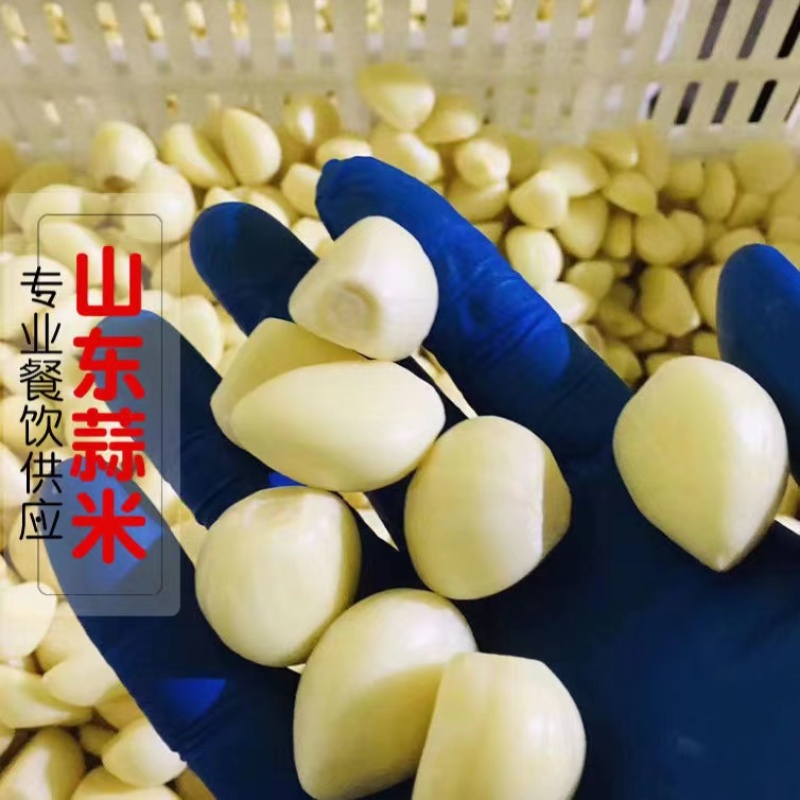 优选蒜米、蒜米，批发，厂家发货，量大价优，欢迎咨询下单