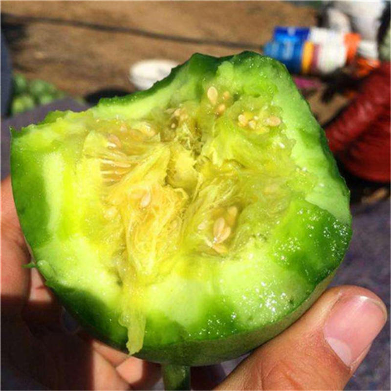 绿宝石二号甜瓜种子薄皮，糖度25度，早熟高产香瓜种子杂交