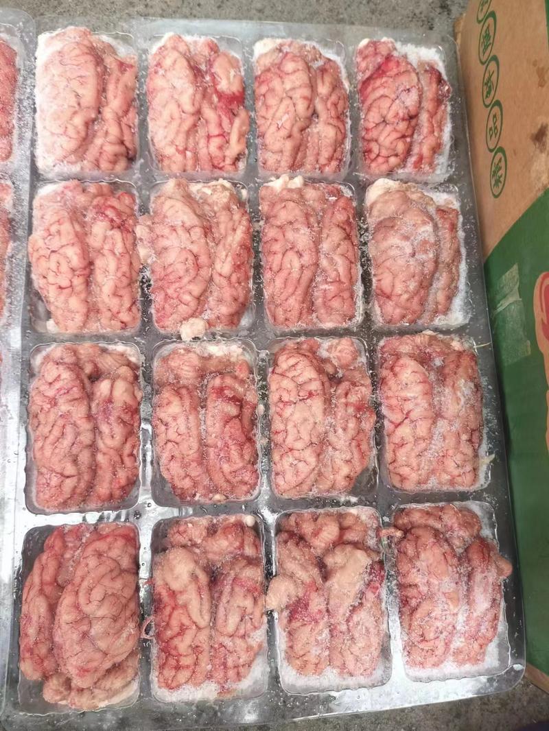 冷冻猪脑花质量保证价格实惠全国发货欢迎咨询