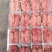 冷冻猪脑花质量保证价格实惠全国发货欢迎咨询