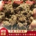 纯牛粪纯干牛粪块颗粒牛粪增加土壤肥力改善土壤厂家