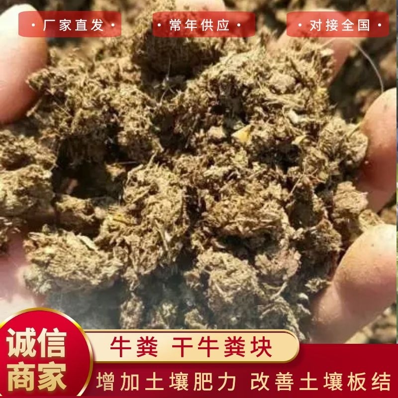 纯牛粪纯干牛粪块颗粒牛粪增加土壤肥力改善土壤厂家
