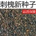 护坡灌木种子刺槐小冠花多花木兰胡枝子猪屎豆木豆田菁草种子