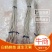 白杨树苗——2025、速生无絮批发零售